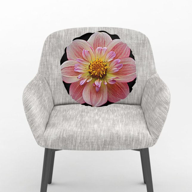 Rosa Collarette Dahlia på Black Blommigt Rund Kudde (In Situ Chair)