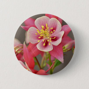 Rosa columbine blommatryck knapp