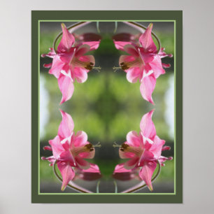 Rosa Columbine Flower Close Up-Abstrakt Poster