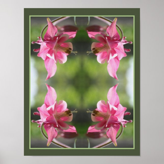 Rosa Columbine Flower Close Up-Abstrakt Poster (Framsidan)