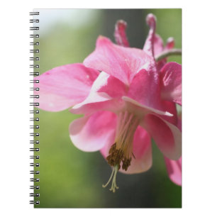 Rosa Columbine Flower Nature Notebook Anteckningsbok