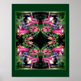 Rosa Columbine Flowers Close Abstrakt Up Poster