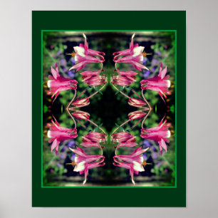 Rosa Columbine Flowers Close Abstrakt Up Poster