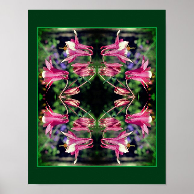 Rosa Columbine Flowers Close Abstrakt Up Poster (Framsidan)