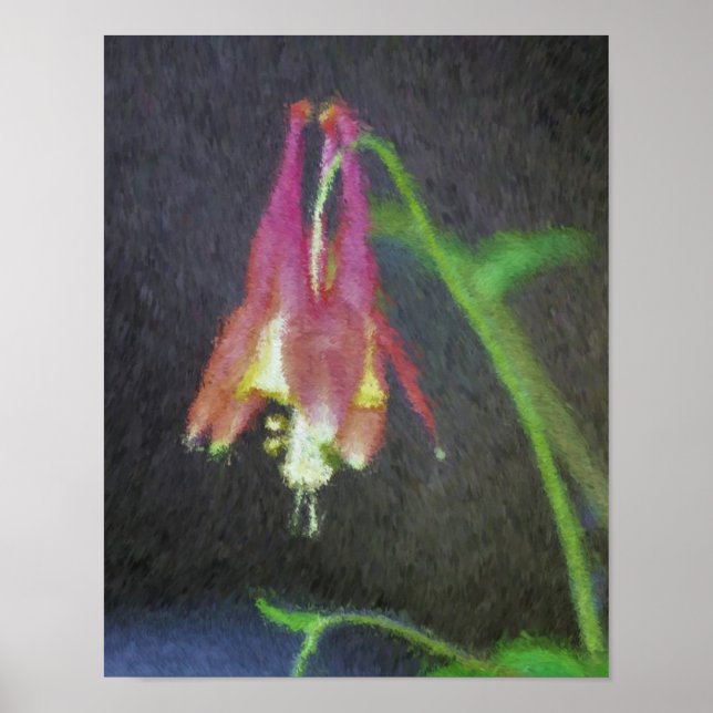 Rosa Columbine Impressionist Flower Art Poster (Framsidan)