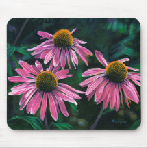 Rosa Cone Flowers -