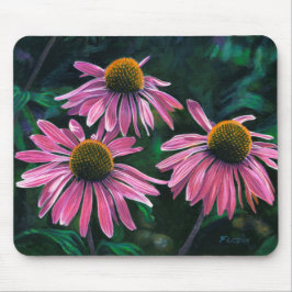 Rosa Cone Flowers - Musmatta