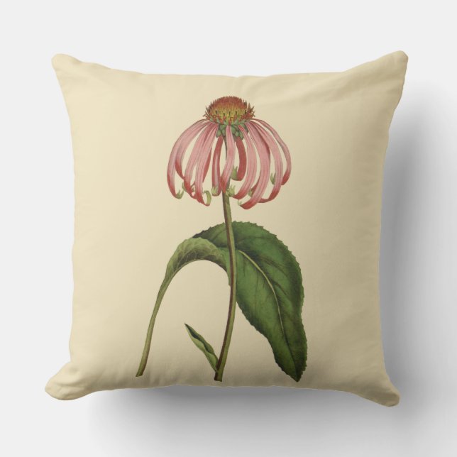 Rosa Coneflower botaniskt utomhus- kudder 20" x Utomhuskudde (Framsida)