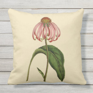Rosa Coneflower botaniskt utomhus- kudder 20" x Utomhuskudde