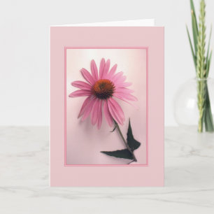 Rosa Coneflower hälsningkort Kort