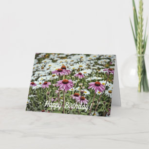 Rosa Coneflowers och Daisy Grattis på födelsedagen Kort