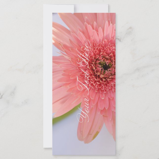 Rosa Coral Chrysanthemum Ditt platta textkort (Framsida)