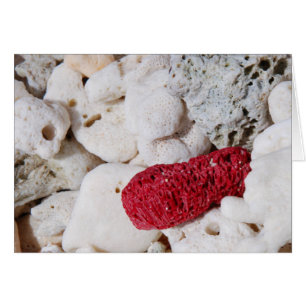 Rosa Coral Hälsningskort