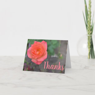 Rosa Coral Ro Blomsterfotografi Tack Kort