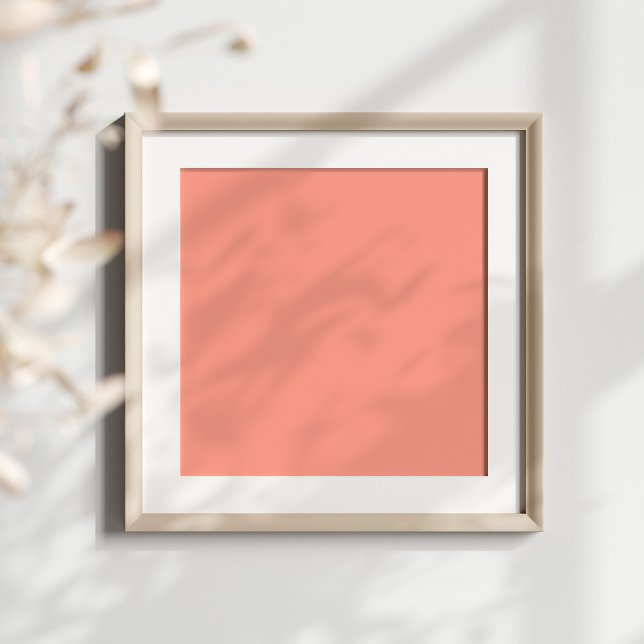 Rosa Coral Solid Färg Poster (Blank poster ready for your monogram design.)