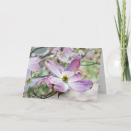 Rosa Corneliankörsbär Blommor Kristet vykort
