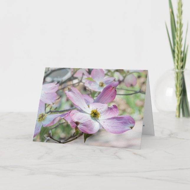 Rosa Corneliankörsbär Blommor Kristet vykort (Framsida)