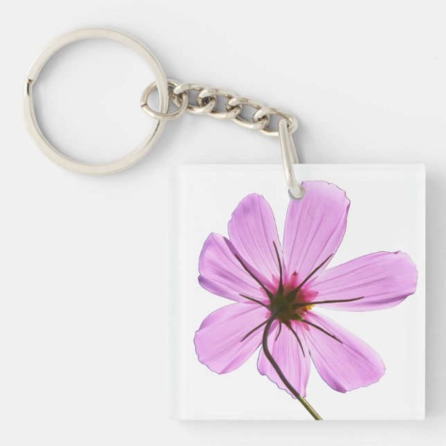 Rosa Cosmos (Framsidan)