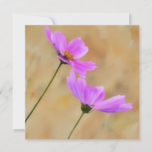 Rosa Cosmos Blanka Blommigt - platt anteckningskor Tack Kort