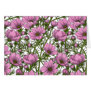 Rosa Cosmos blommor Hälsningskort