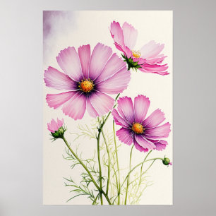 Rosa Cosmos Flowers Art Print Poster
