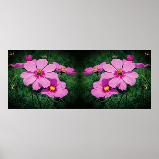 Rosa Cosmos Flowers Spegel Abstrakt Poster (Framsidan)