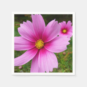 Rosa Cosmos Flowers Wildblomma Pappersservett