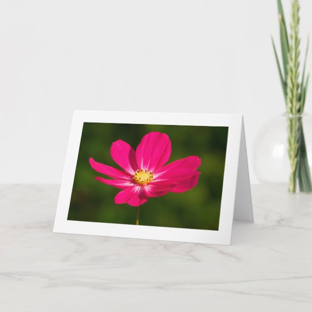 Rosa Cosmos (gränsad) Kort (Framsida)