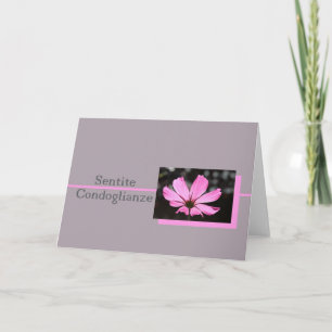 rosa cosmos kursivt sympatikort kort
