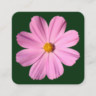 Rosa Cosmos - Mörk grönt Fyrkantigt Visitkort