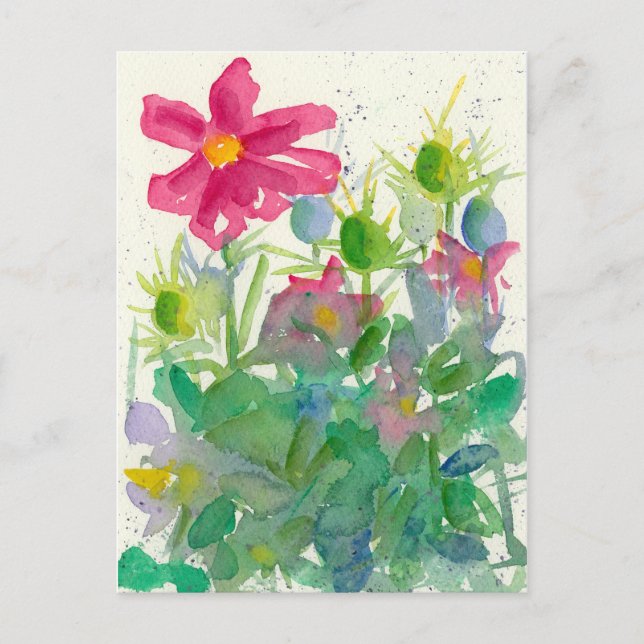 Rosa Cosmos Nigella Blomsterträdgård Watercolor Vykort (Framsida)