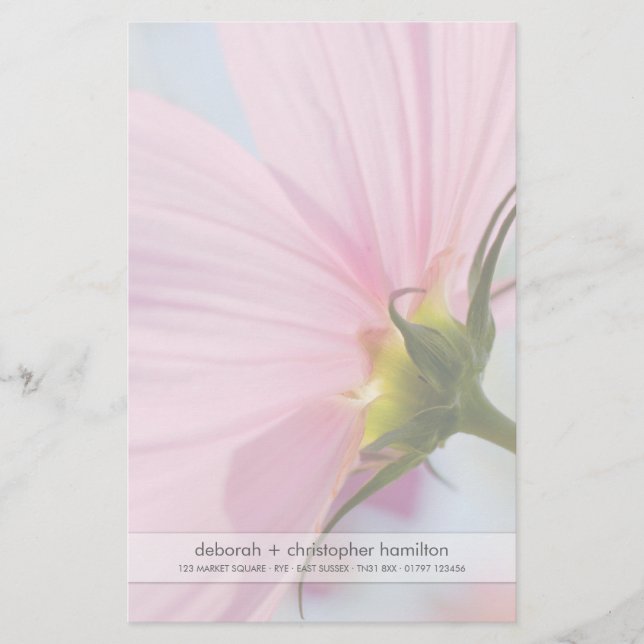 Rosa Cosmos ・ Papper (Framsida)