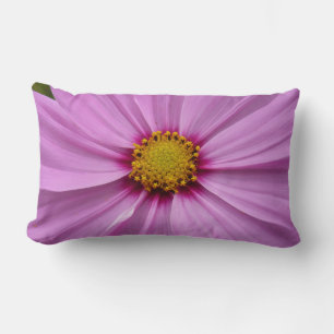 Rosa Cosmos Wildblomms Blommigt Lumbarkudde