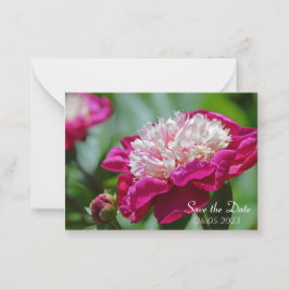 Rosa Cottage Peony Botanical Flower Anteckningskort