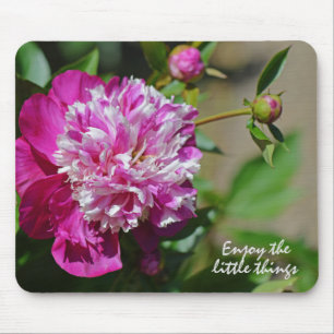 Rosa Cottage Peony Flower Motivation Musmatta