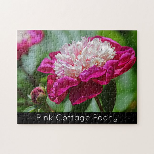 Rosa Cottage Peony Garden Flower Puzzle Pussel (Horisontell)