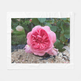 Rosa Country Rose Blommig Flygtäcke Fleecefilt