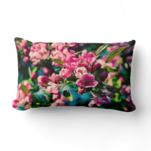 Rosa Crab Apple Flowers