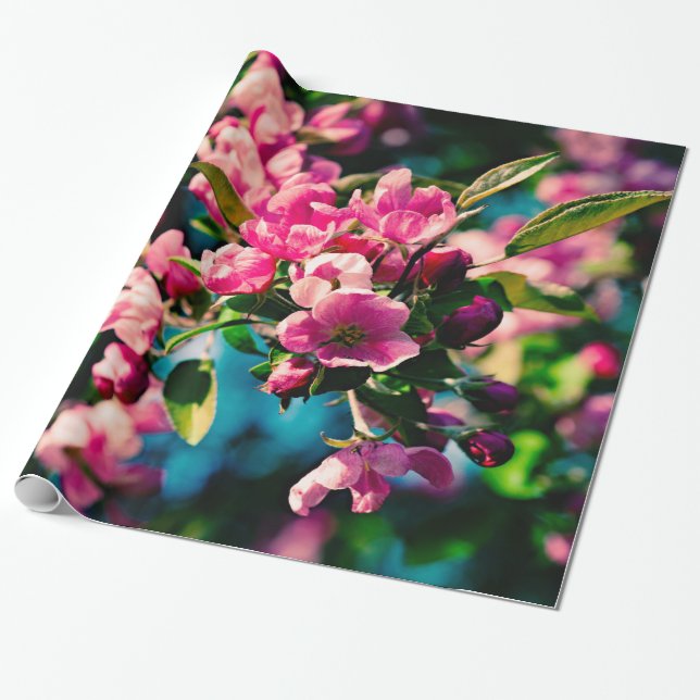 Rosa Crab Apple Flowers Presentpapper (Utrullad)