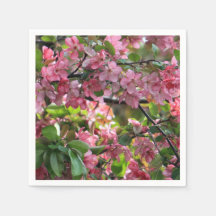 Rosa Crabapple Blommigt Photo