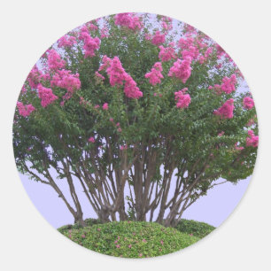 Rosa Craps Myrtle Mound Stickers Runt Klistermärke