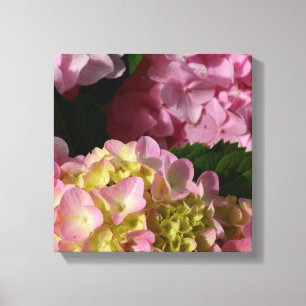 Rosa Cream Hydrangeas gult rosa grönt blommigt Canvastryck