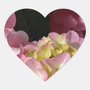 Rosa Cream Hydrangeas gult rosa grönt blommigt Hjärtformat Klistermärke