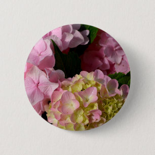Rosa Cream Hydrangeas gult rosa grönt blommigt Knapp