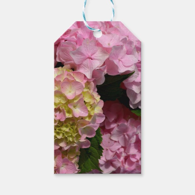 Rosa Cream Hydrangeas gult rosa grönt blommigt Presentetikett (Framsidan)