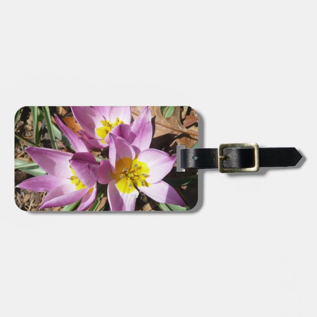 Rosa Crocuses Vår Blommigt Bagagebricka (Horisontell Framsida)