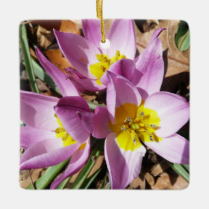 Rosa Crocuses Vår Blommigt Julgransprydnad Keramik