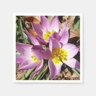 Rosa Crocuses Vår Blommigt Pappersservett