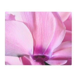Rosa Cyclamen Close Up Metall Wall Art