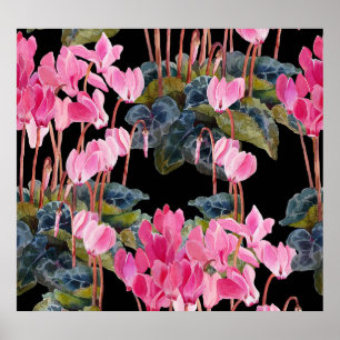 Rosa Cyclamen: Mörk Blommigt Vattenfärg Poster